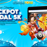 Togel Hongkong: Panduan Lengkap untuk Pemain Baru
